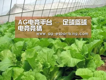 种植基地一