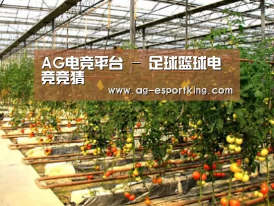 种植基地二