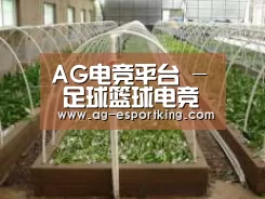 环境展示五