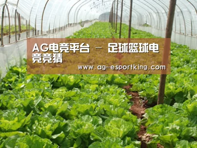 种植基地五