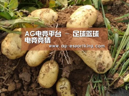 种植基地六