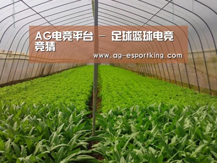 种植基地四