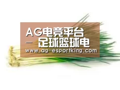 产品名称二