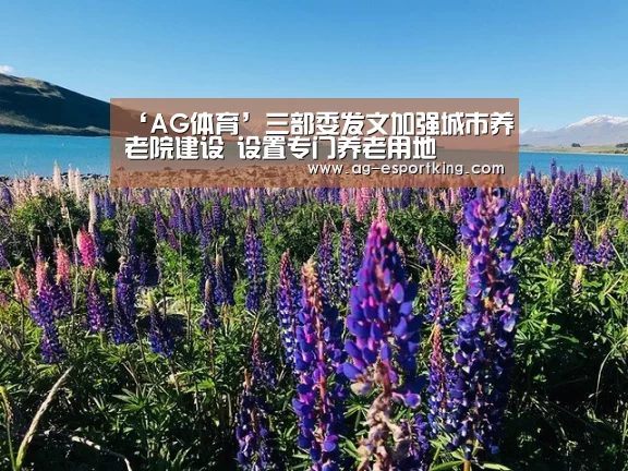 ‘AG体育’三部委发文加强城市养老院建设 设置专门养老用地(图1) AG体育