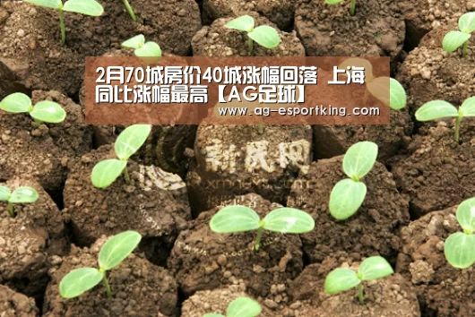 2月70城房价40城涨幅回落 上海同比涨幅最高【AG足球】(图1) AG足球