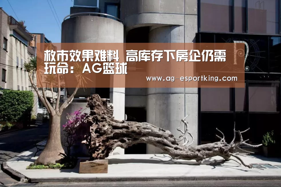 AG足球