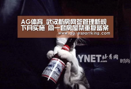 AG体育_武汉新房网签管理新规下月实施 同一套房屋禁重复备案更名(图1) AG篮球