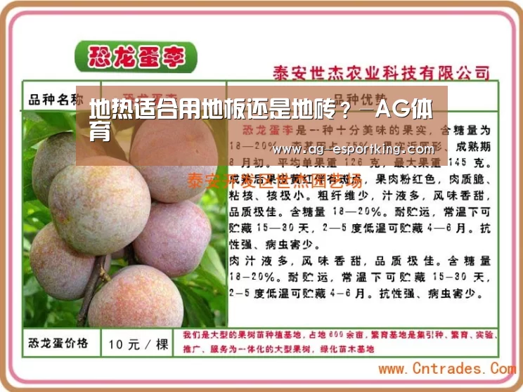 地热适合用地板还是地砖?-AG体育(图2) AG足球