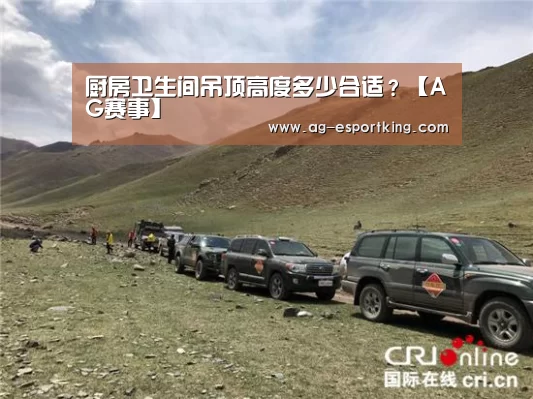 AG篮球