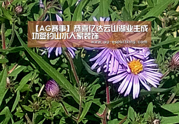 【AG赛事】恭喜亿达云山湖业主成功签约山水人家装饰(图2) AG赛事