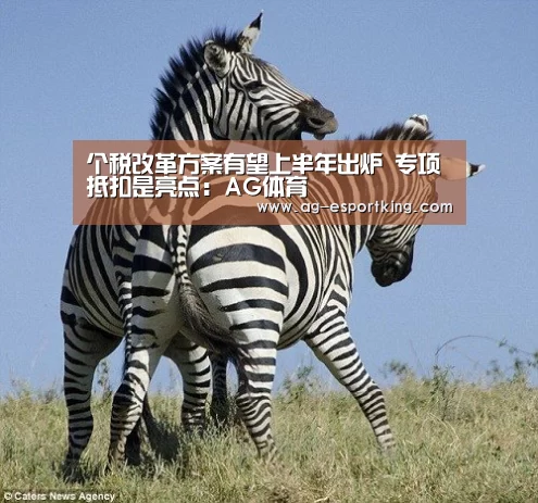 个税改革方案有望上半年出炉 专项抵扣是亮点:AG体育(图1) AG篮球
