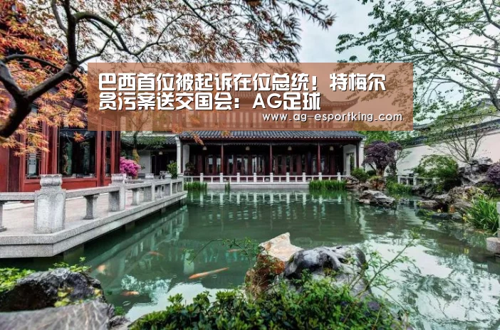 巴西首位被起诉在位总统!特梅尔贪污案送交国会:AG足球(图2) AG篮球